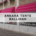 Ankara NallıhanTenteci