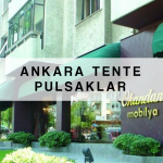 Ankara Pulsaklar Tenteci