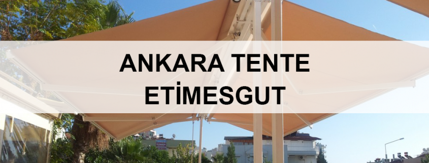 ankara-etimesgut-tente